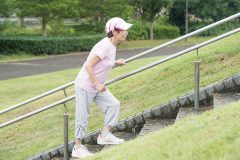 階段を上がる道を散歩コースに加えてみて