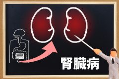腎機能は加齢に伴って衰える。腎機能低下は心血管疾患の発症リスクも上昇するため注意が必要だ