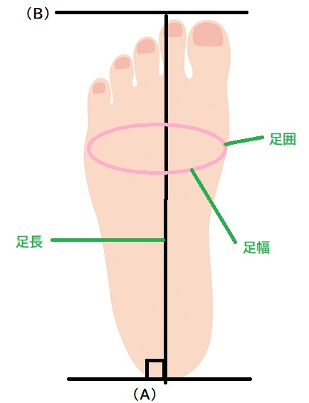 足のサイズの測り方