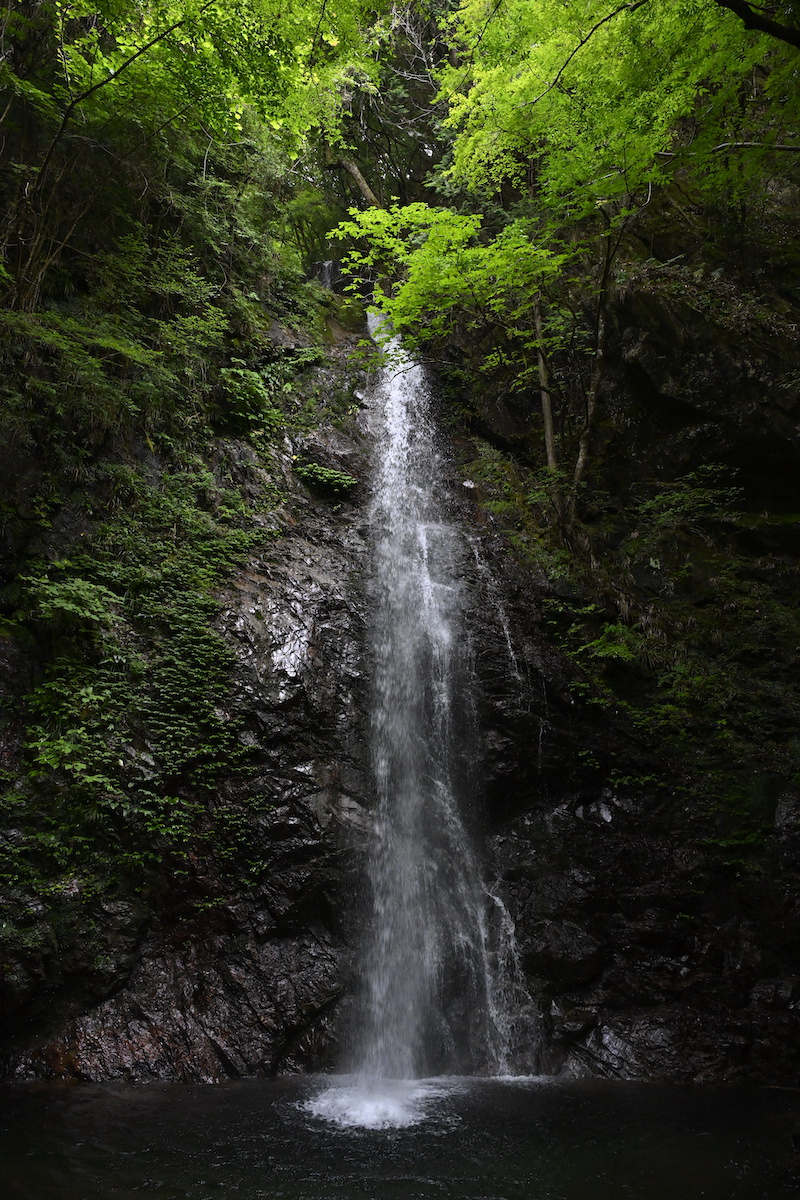 “日本の滝百選”に選ばれている「払沢の滝」