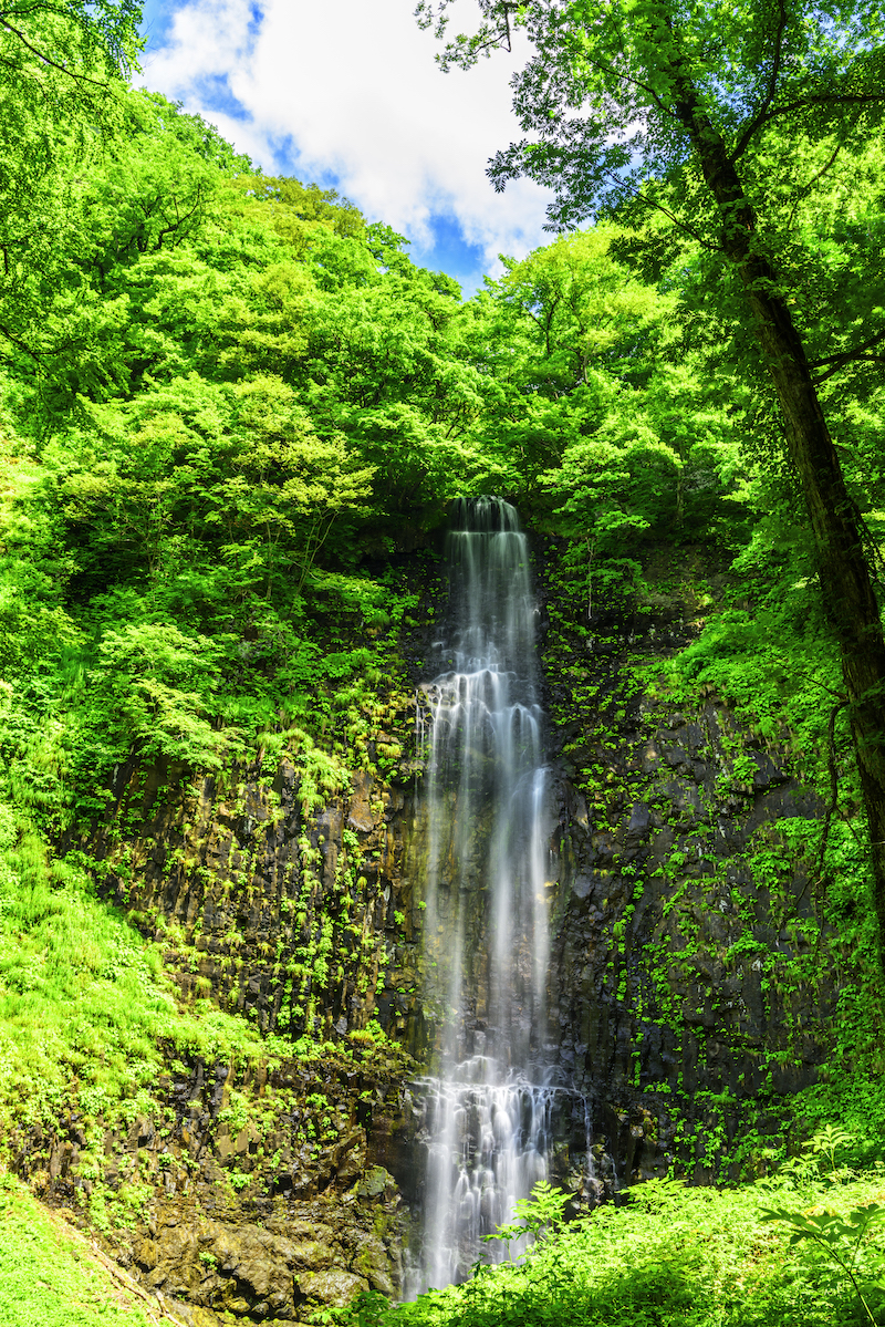 山形県の「玉簾の滝」