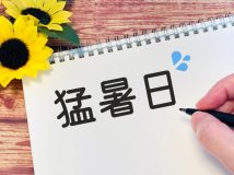 真夏に部屋で過ごす高齢者が注意すべき4つのこと「部屋の温度を上げない工夫」を家事アドバイザーが指南
