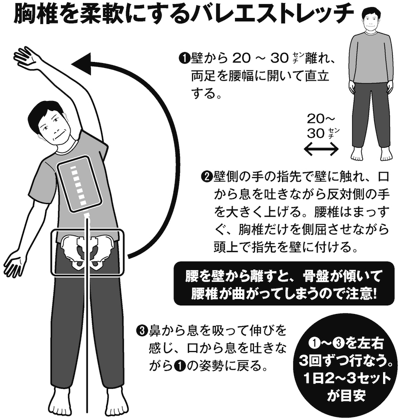 腰椎と隣り合う胸椎の柔軟性を高める「バレエストレッチ」