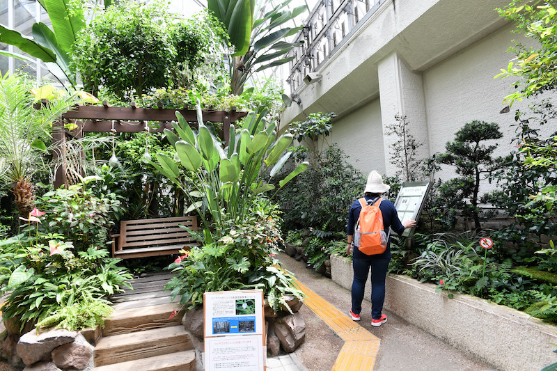 箕面公園昆虫館