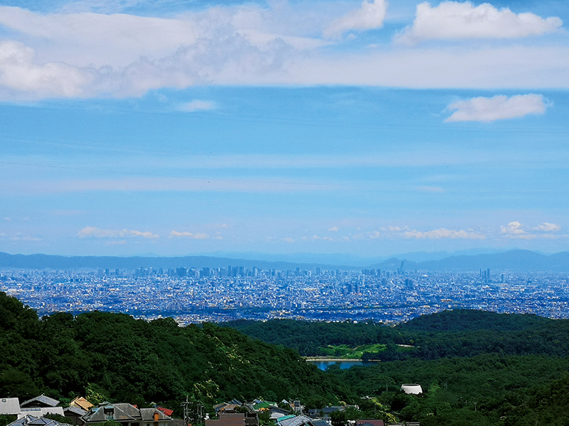 標高約300mの場所にあるため、昼は四季折々の景観、夜はきらびやかな大阪の夜景を一望できる