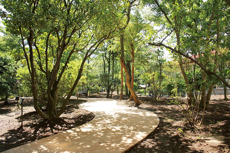 まるで自然の山の中にいるような庭園