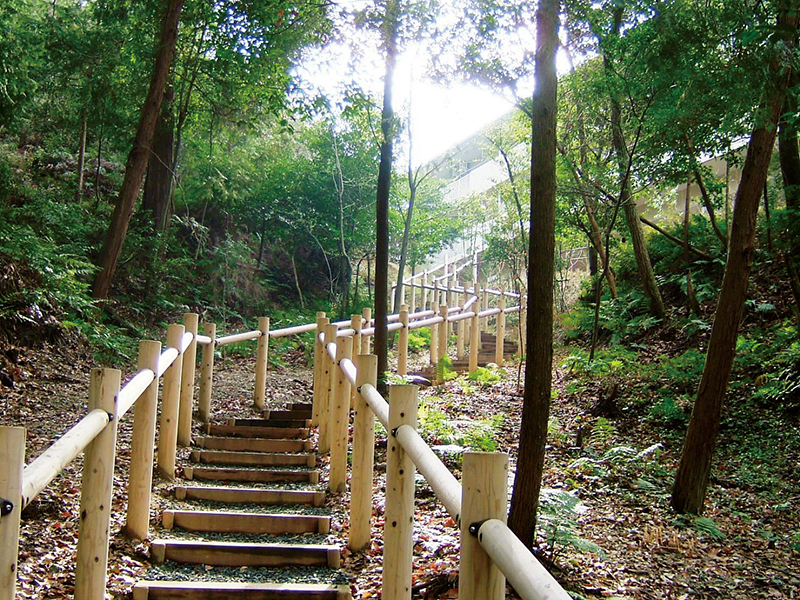 遊歩道での散歩は健康作りにも役立っている