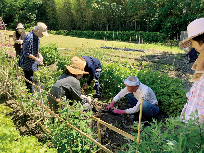 自然や植物と触れ合いながら生活ができる