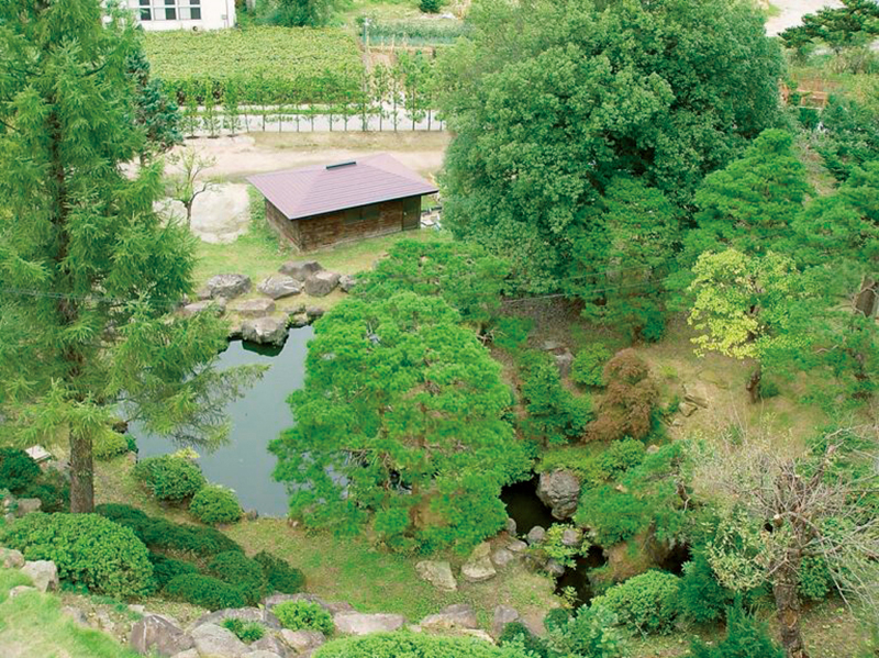 3000坪の庭園には遊歩道も