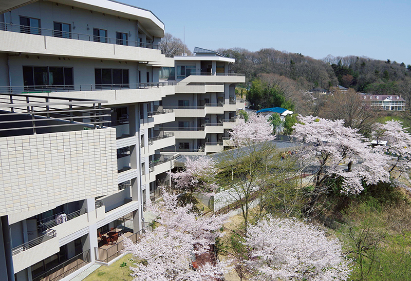 四季折々の素晴らしい景色を堪能