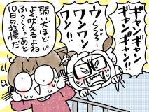 兄がボケました～若年性認知症の家族との暮らし【第267回　暴れることが兄のストレス解消】