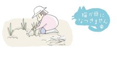 猫が母になつきません　第426話「たたかう」