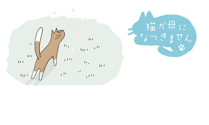 猫が母になつきません 第442話「ひさしぶり」