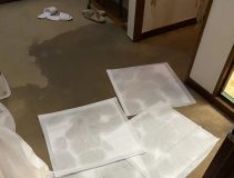 認知症の母の紙パンツがトイレに詰まってカーペットが水浸しの大惨事！掃除に悪戦苦闘した息子が活用した頼れる家電の威力