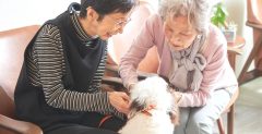 セラピードッグが定期的に訪問