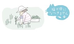 猫が母になつきません　第446話「やりすぎる」