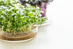 家計お助け「リボベジ」のやり方をご紹介（Ph／イメージマート）