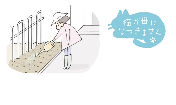 猫が母になつきません 第450話「カバーする」