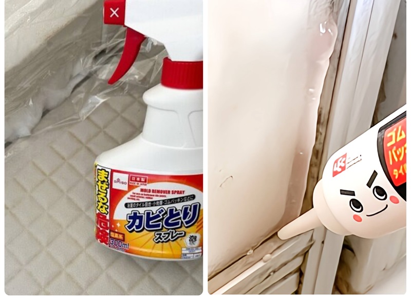 カビ取り剤を使ってカビの定着を防止