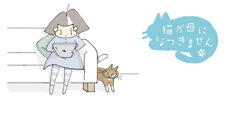 とある猫様せんよう とある猫様せんよう 猫猫 カード検索 ｜ Z/X - Zillions of enemy