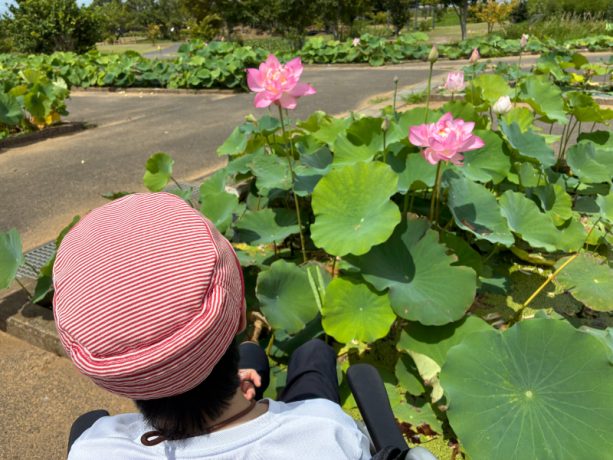 ヤングケアラーと夏休みの問題「母を施設入所させる！」鉄の意志が揺らいだ、母と出かけた平和な夏の1日