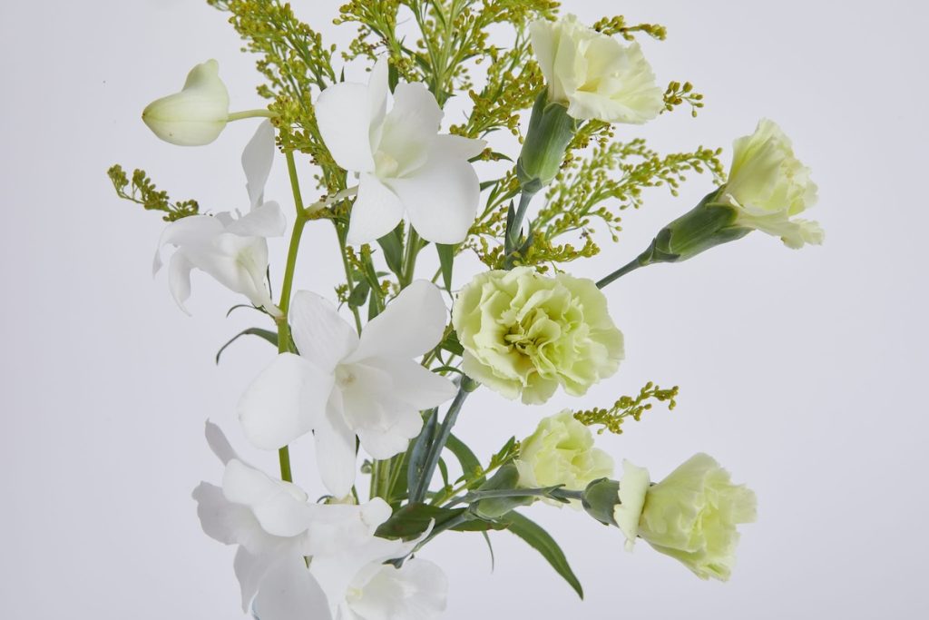 ホワイト・グリーン系の花