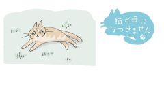 猫が母になつきません　第463話「けおされる」