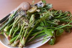 ホウレンソウは尿路結石、山菜はすい臓がんを引き起こすリスクも！「野菜は調理法に注意が必要」【医師解説】　