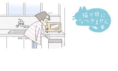 猫が母になつきません　第467話　じどう
