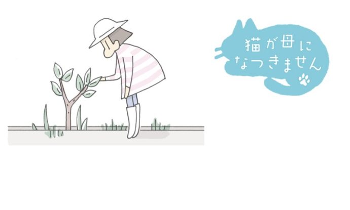 猫が母になつきません　第466話「3年ぶり」