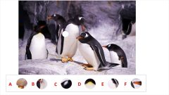 週刊脳トレ｜くりぬかれたピースを探しましょう「ピッタリはまるのはどれ？」