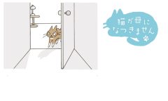 猫が母になつきません　第472話「ぎりぎり」