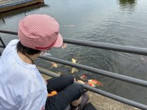 高次脳機能障害の母、施設の暮らしに募る不満「なんで帰れないの？」ヤングケアラーの娘が抱える焦燥感と修行の日々