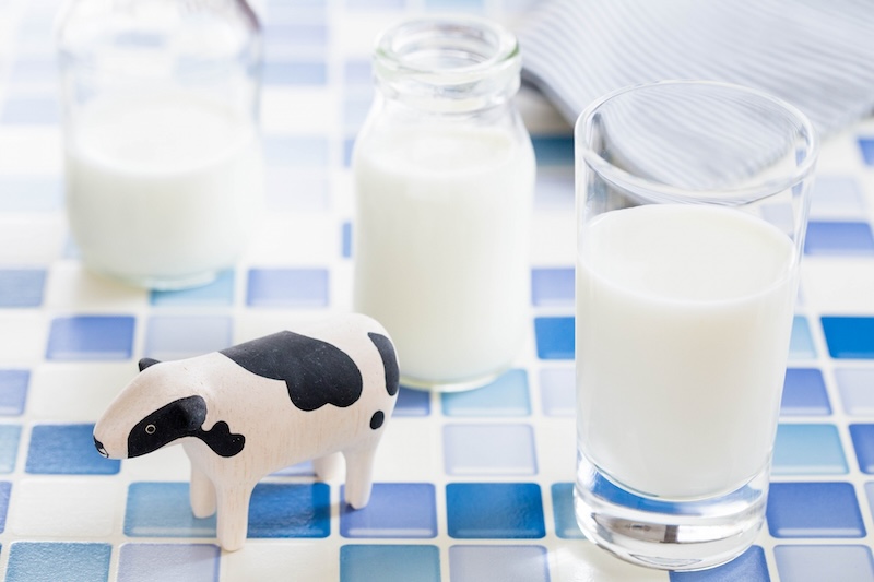 牛乳と牛のオブジェ