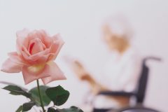 花越しのシニア