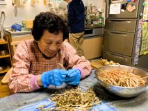 「母は、お昼にうどんでも食べに行くみたいな調子でホスピス見学に行った」末期がんの母の背中にコラムニストの息子が教えられたこと|「147日目に死んだ母――がん告知から自宅で看取るまでの幸せな日々」Vol.4