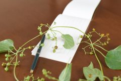 《入賞者に豪華プレゼントあり》お花の定期便「お花のなかま」申込者特典　「介護川柳」コンテスト開催