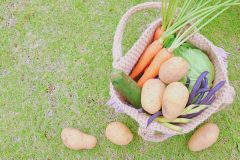 かごに入った野菜