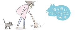 猫が母になつきません　第478話「手術の日」