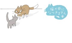 猫が母になつきません　第476話「いちにち」