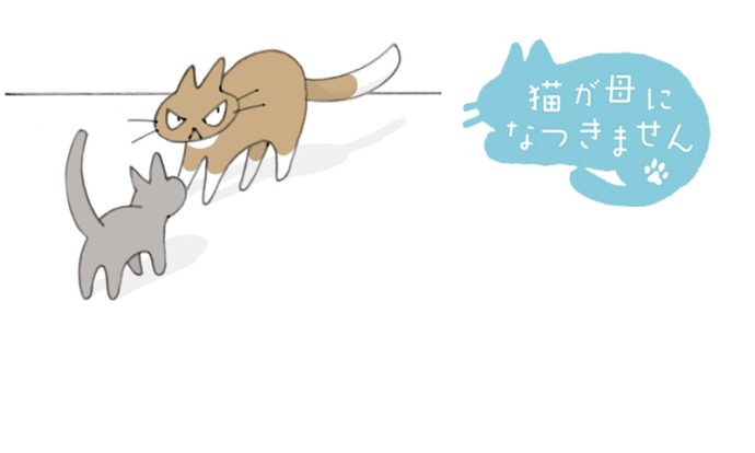 猫が母になつきません　第476話「いちにち」