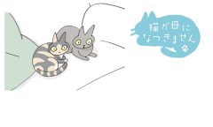 猫が母になつきません　第482話「まんきつする」