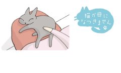 猫が母になつきません　第481話「おねがい」