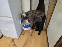 認知症の母が言葉を失っていく！かつて同じ話を何度も聞かされた息子が思いを吐露「うんざり」から「寂しさ」に変わった