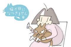 猫が母になつきません　第486話「ひらあやまり」