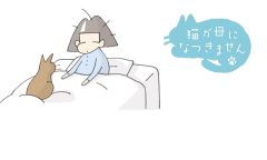 猫が母になつきません　第484話「おはよう」