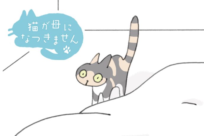 猫が母になつきません　第487話「朝だけ」