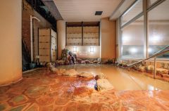 源泉掛け流しの温泉を気兼ねなく満喫しよう（写真は蓮田オークプラザ駅前温泉館）