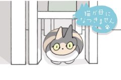 猫が母になつきません　第490話「たいちょう」