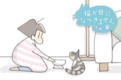 猫が母になつきません　第491話「いれかわる」